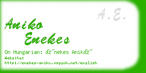 aniko enekes business card